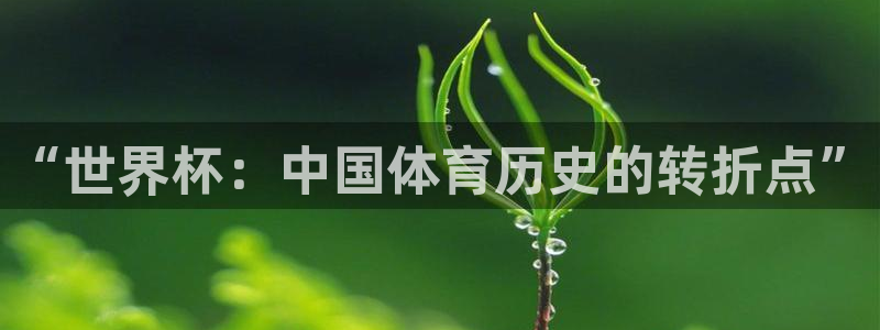 世界杯直播：“世界杯：中国体育历史的转折点”