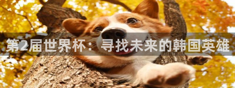 2026世界杯对阵图：第2届世界杯：寻找未来的韩国英雄
