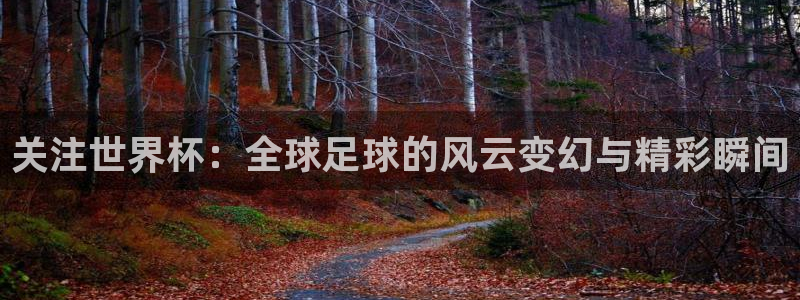 2026年足球世界杯赛程时间表：关注世界杯：全球足球的风云变幻与精彩瞬间