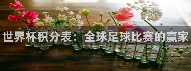 英格兰联赛杯直播：世界杯积分表：全球足球比赛的赢家