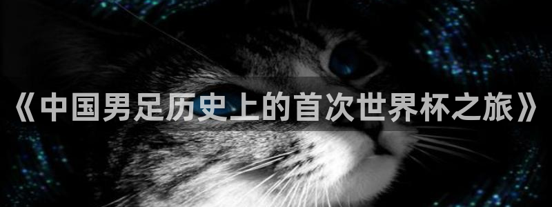 世界杯亚洲区预选赛：《中国男足历史上的首次世界杯之旅》