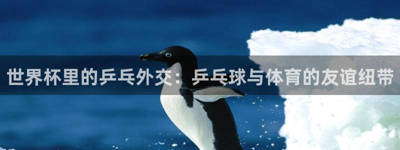 世界杯预选赛亚洲区积分榜：世界杯里的乒乓外交：乒乓球与体育的友谊纽带