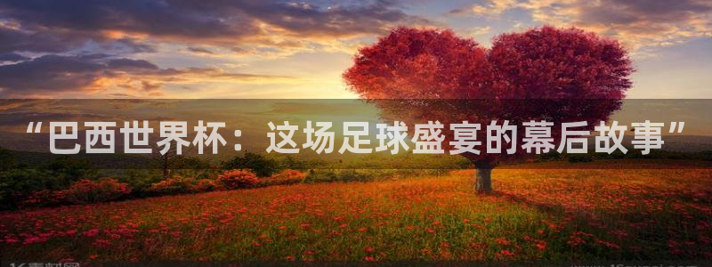 2026年世界杯赛程：“巴西世界杯：这场足球盛宴的幕后故事”