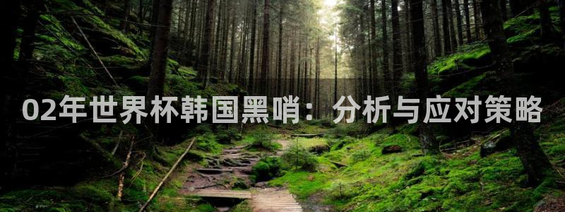 世界杯2026赛制：02年世界杯韩国黑哨：分析与应对策略