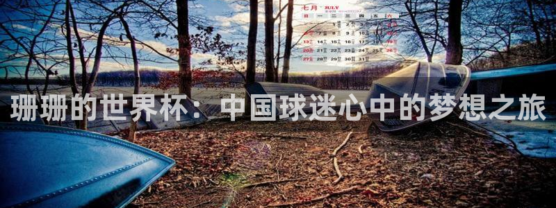 世界杯欧洲区世预赛赛程：珊珊的世界杯：中国球迷心中的梦想之旅