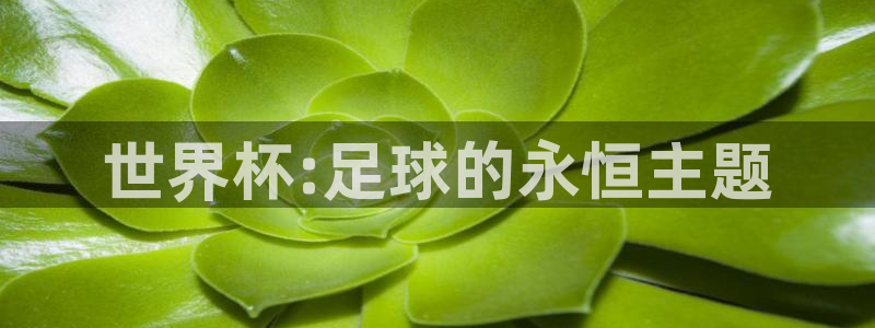 世界杯决赛直播：世界杯:足球的永恒主题