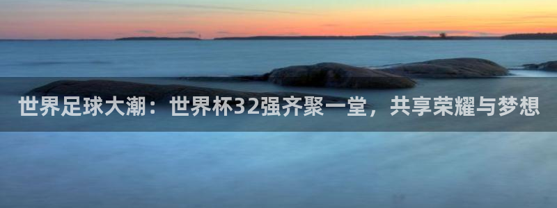 看世界杯：世界足球大潮：世界杯32强齐聚一堂，共享荣耀与梦想