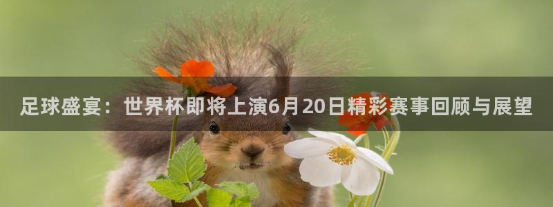 联赛杯直播：足球盛宴：世界杯即将上演6月20日精彩赛事回顾与展望