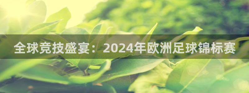 世界杯赛程表2026：全球竞技盛宴：2024年欧洲足球锦标赛
