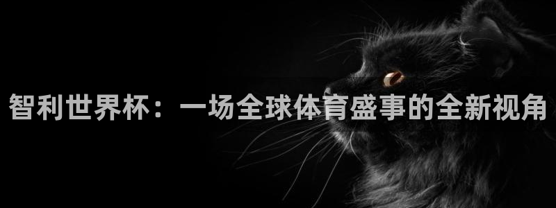 世界杯直播高清：智利世界杯：一场全球体育盛事的全新视角