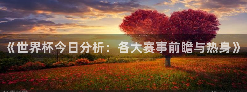 2026世界杯：《世界杯今日分析：各大赛事前瞻与热身》