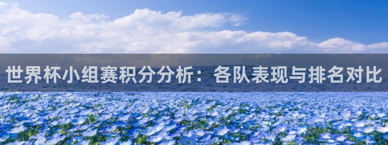 2026年男足世界杯：世界杯小组赛积分分析：各队表现与排名对比